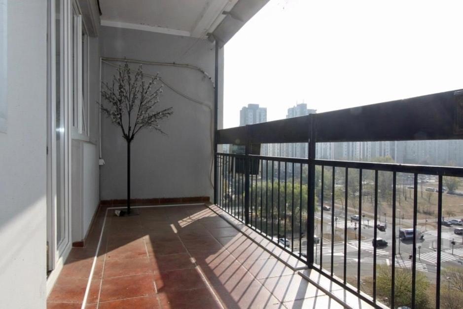 Cezar Apartment Belgrad Exterior foto